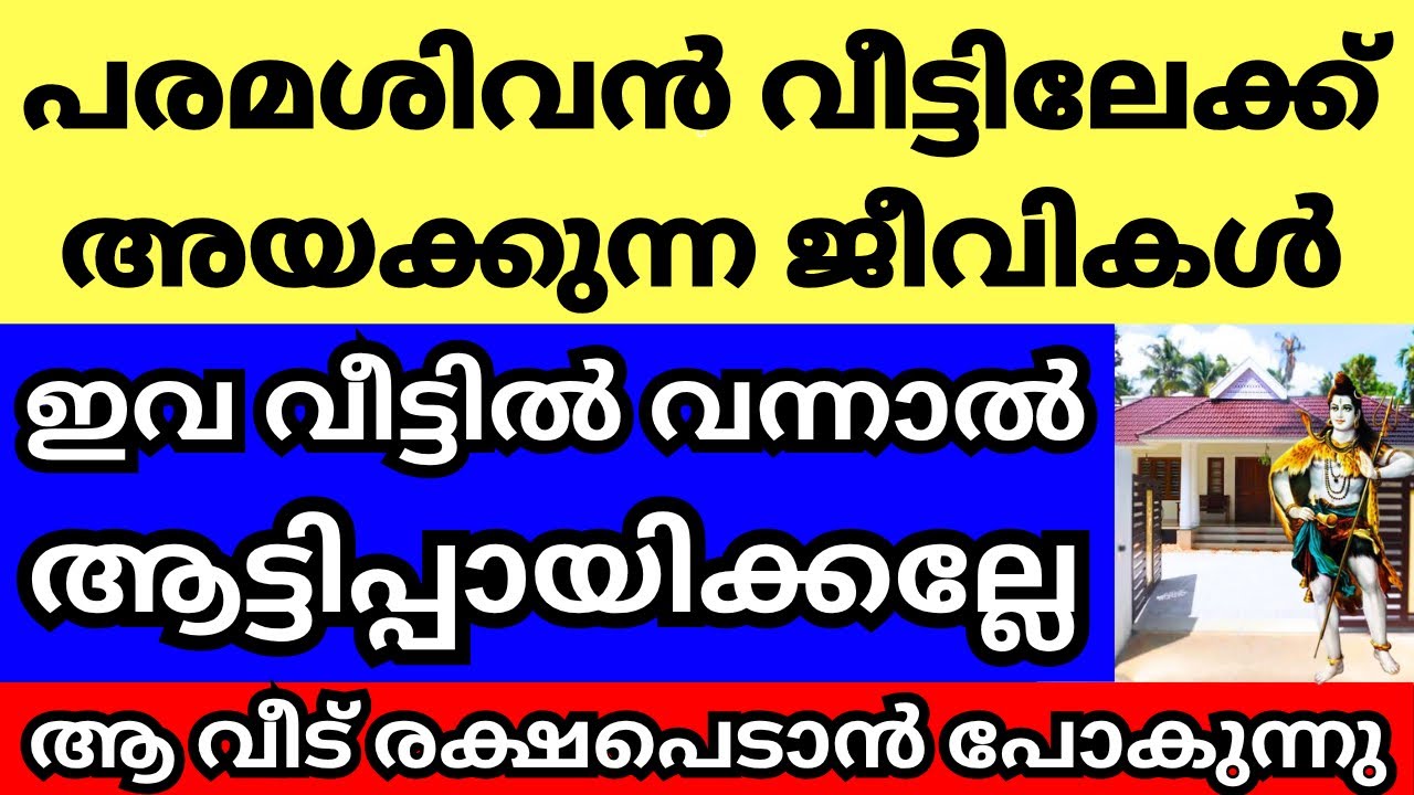 പരമശിവൻ വീട്ടിലേക്ക് അയക്കുന്ന ജീവികൾ,ഇവ വീട്ടിൽ വന്നാൽ ആട്ടിപ്പായിക്കല്ലേ,ആ വീട് രക്ഷപെടാൻ പോകുന്നു