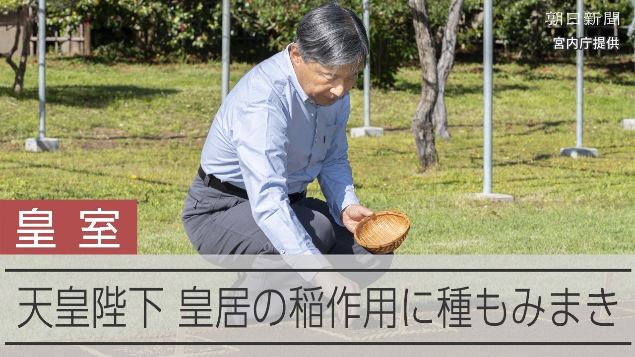 天皇陛下が種もみまき　皇居の稲作、昭和天皇から受け継がれ
