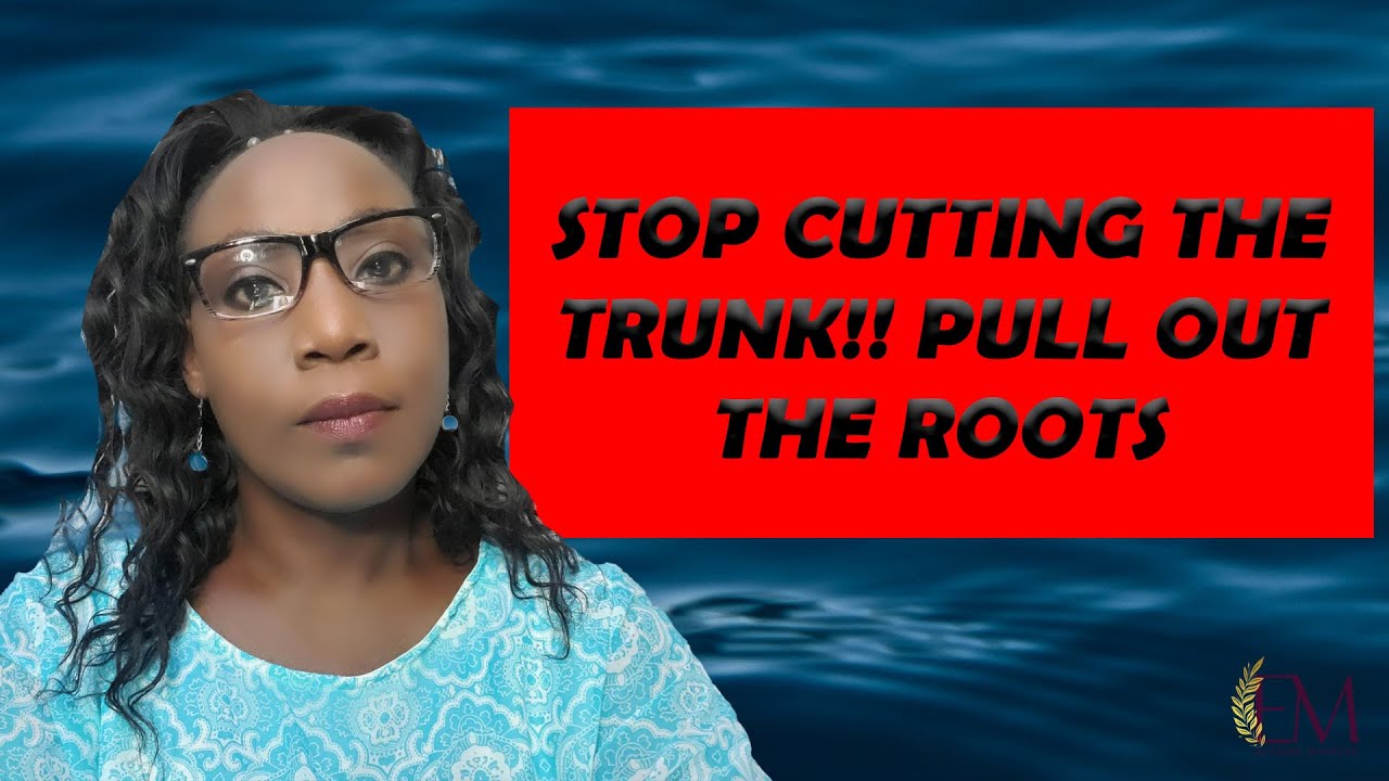 STOP CUTTING THE TRUNK ‼️ PULL OUT THE ROOTS