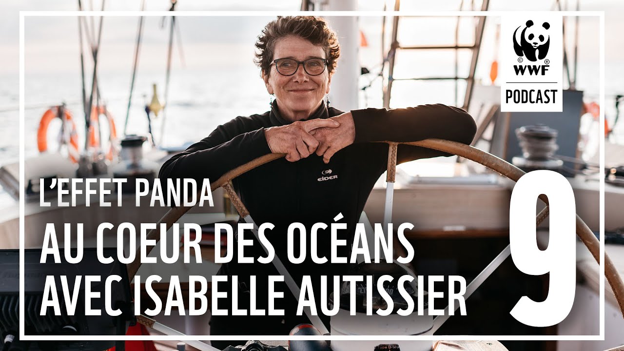 &Eacute;pisode 9 : au coeur des oc&eacute;ans avec Isabelle Autissier | L'Effet Panda : un podcast WWF