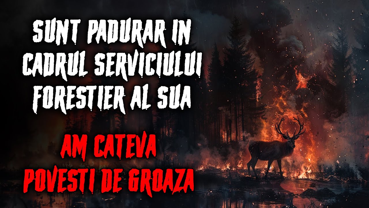 Sunt Padurar în cadrul Serviciului Forestier al SUA. Am cateva Povesti de Groaza!