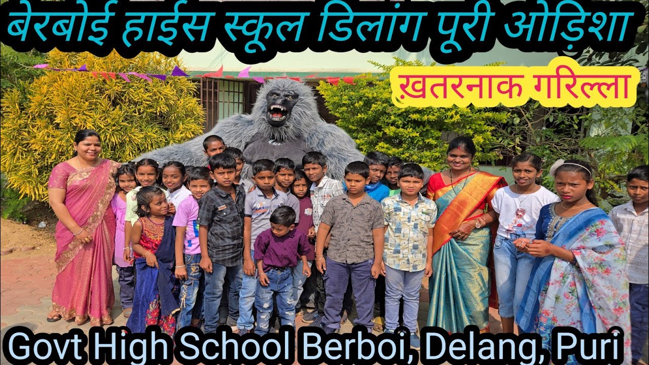 ख़तरनाक गरिल्ला गाओं का स्कूल में गुमराहे 