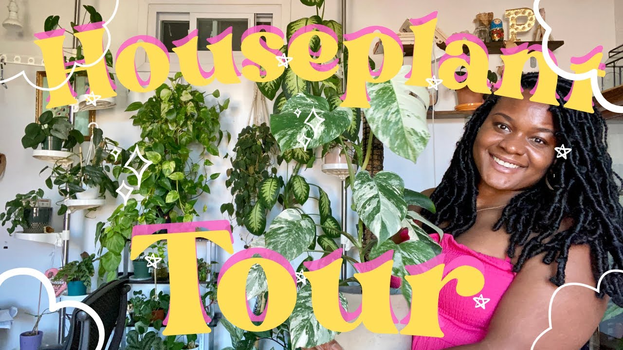 Houseplant Tour | Summer 2023