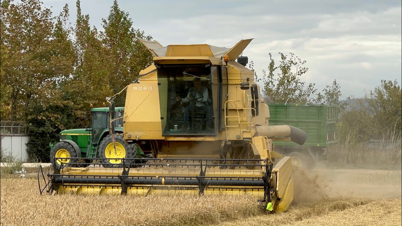 Αλώνισμα ρυζιού 2024 New Holland 8080