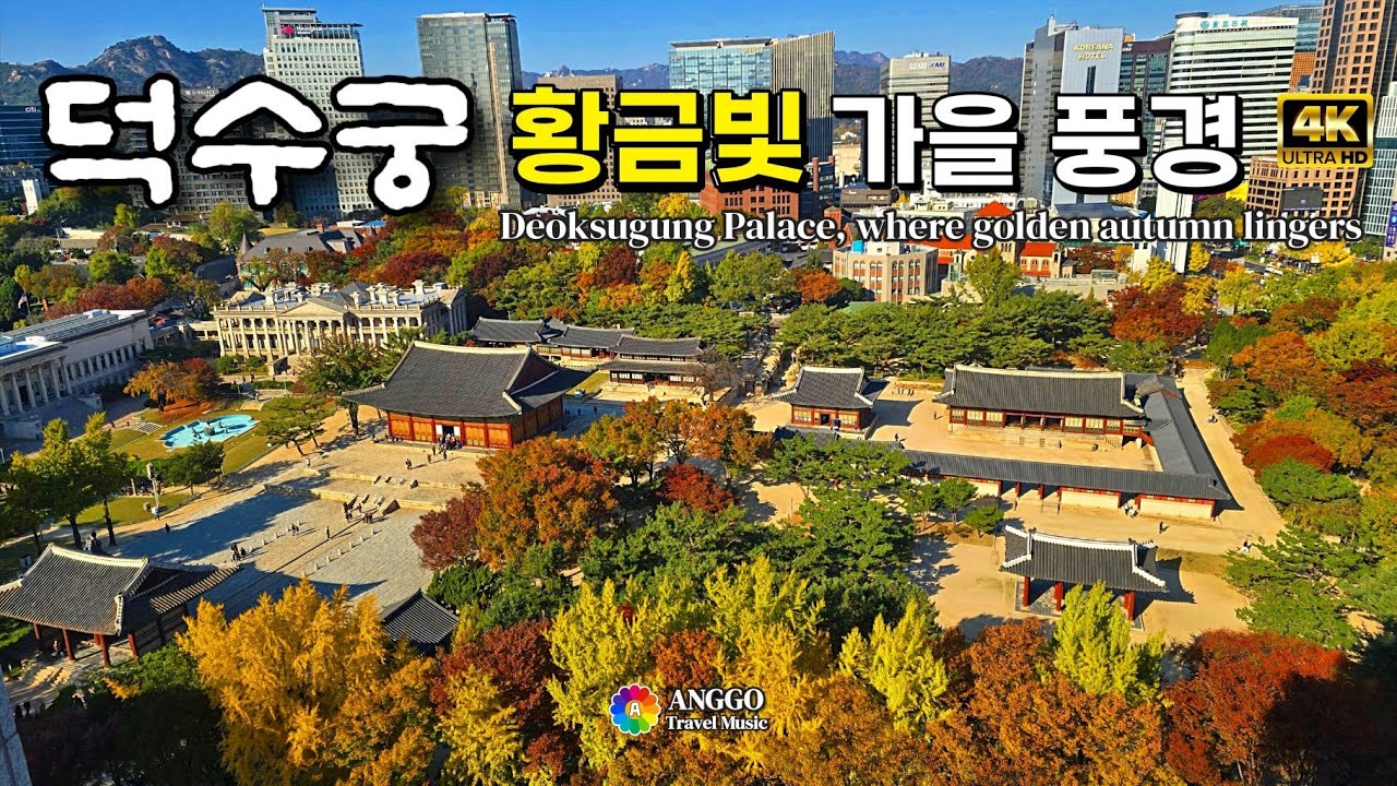 #4k 덕수궁, 황금빛 가을 풍경🍁Golden autumn lingers in #deoksugungpalace #덕수궁 #가을데이트코스