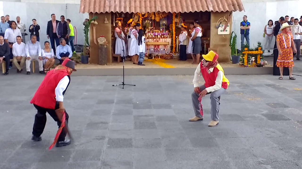 Danza de cuanegros