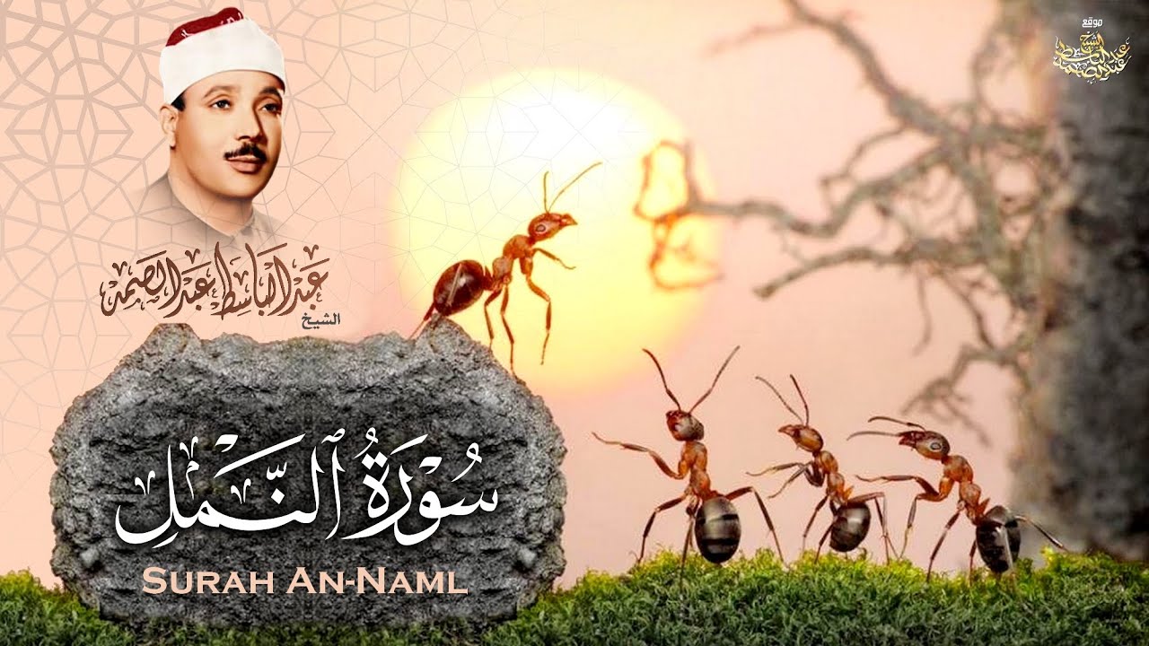 «  قَالَتْ نَمْلَةٌ يَا أَيُّهَا النَّمْلُ ادْخُلُوا مَسَاكِنَكُمْ » إبداع وخشوع الشيخ عبد الباسط