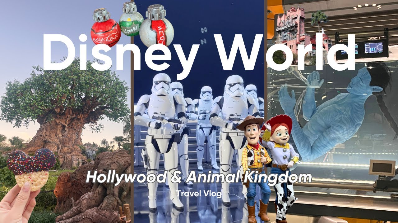 Disney World Vlog Pt 2 | Hollywood Studios & Animal Kingdom (Star Wars, Toy Story, Avatar, Safari)