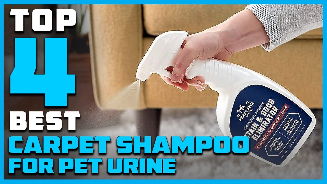 Top 4 Best Carpet Shampoo for Pet Urine Review in 2026