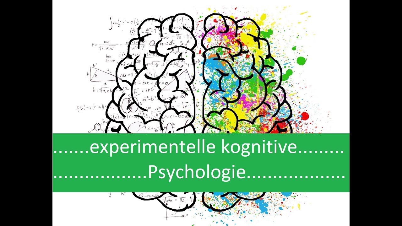 experimentelle kognitive Psychologie - Einführung (Computermetapher, Netzwerkmetapher)