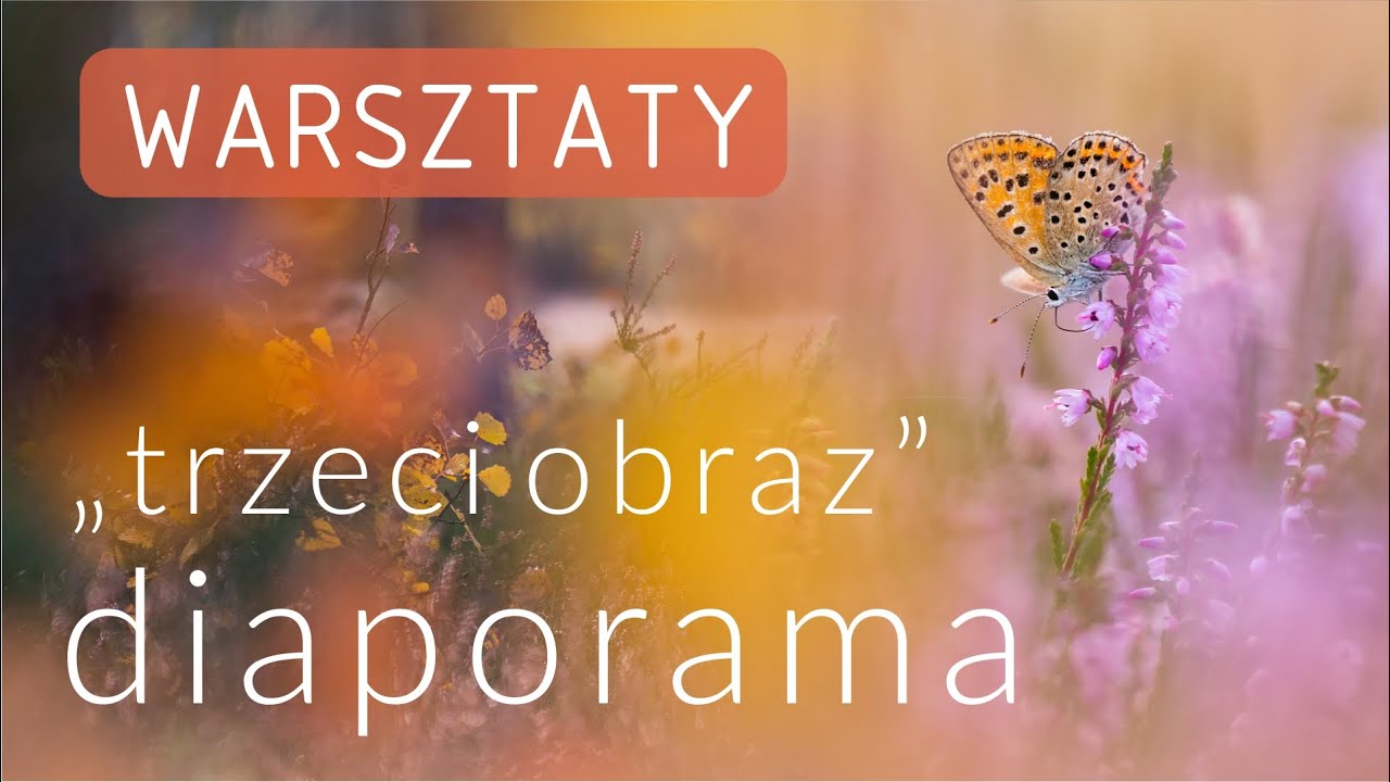 Warsztaty // Trzeci obraz - kilka słów o diaporamie