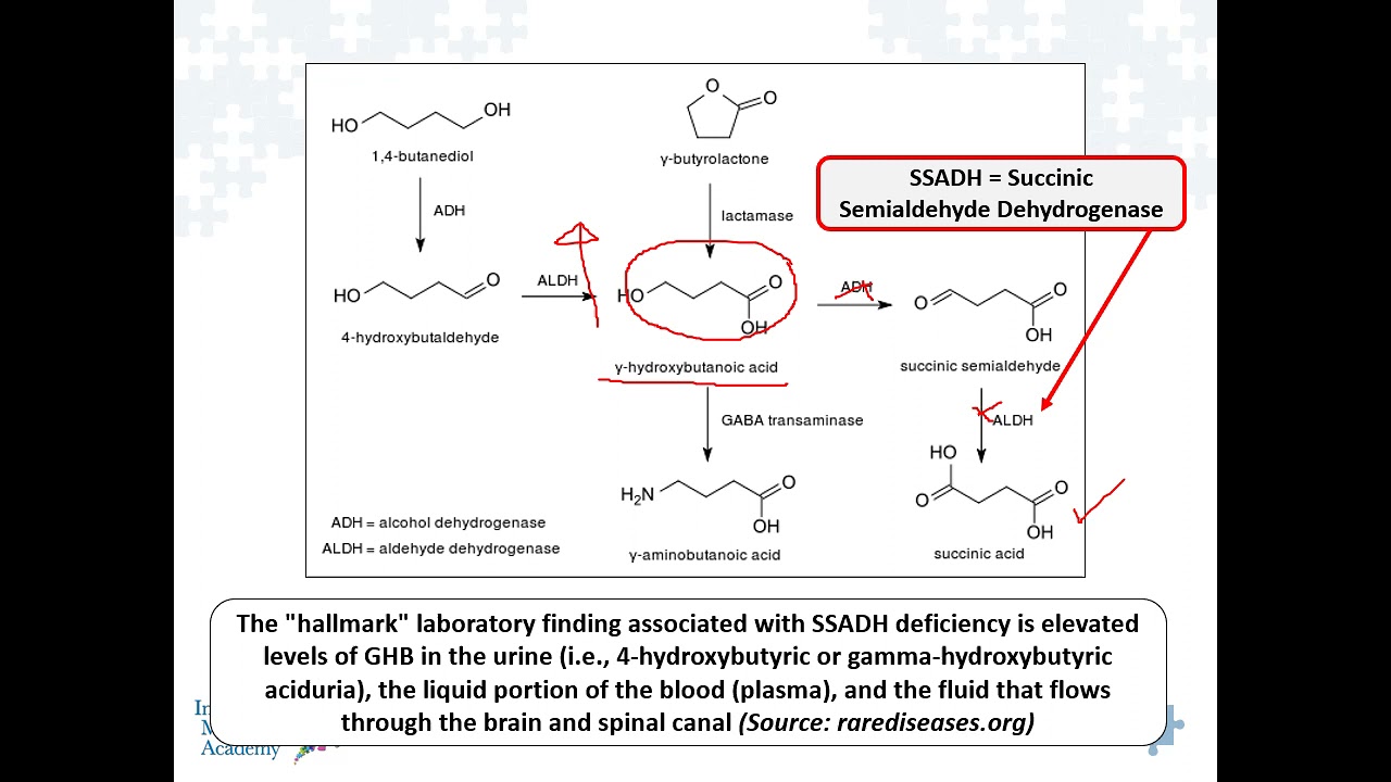 The Organic Acid Marker of 4 Hydroxybutyric Acid