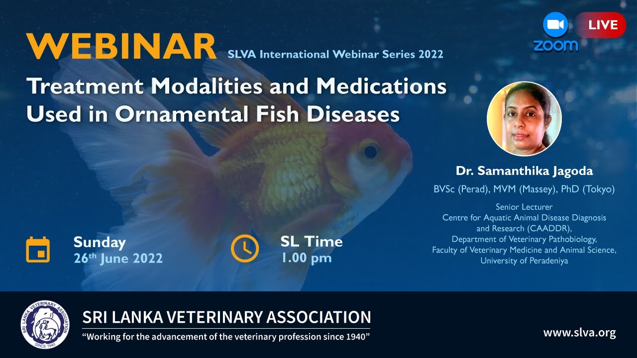 Treatment Modalities and Medications Used in Ornamental Fish Diseases