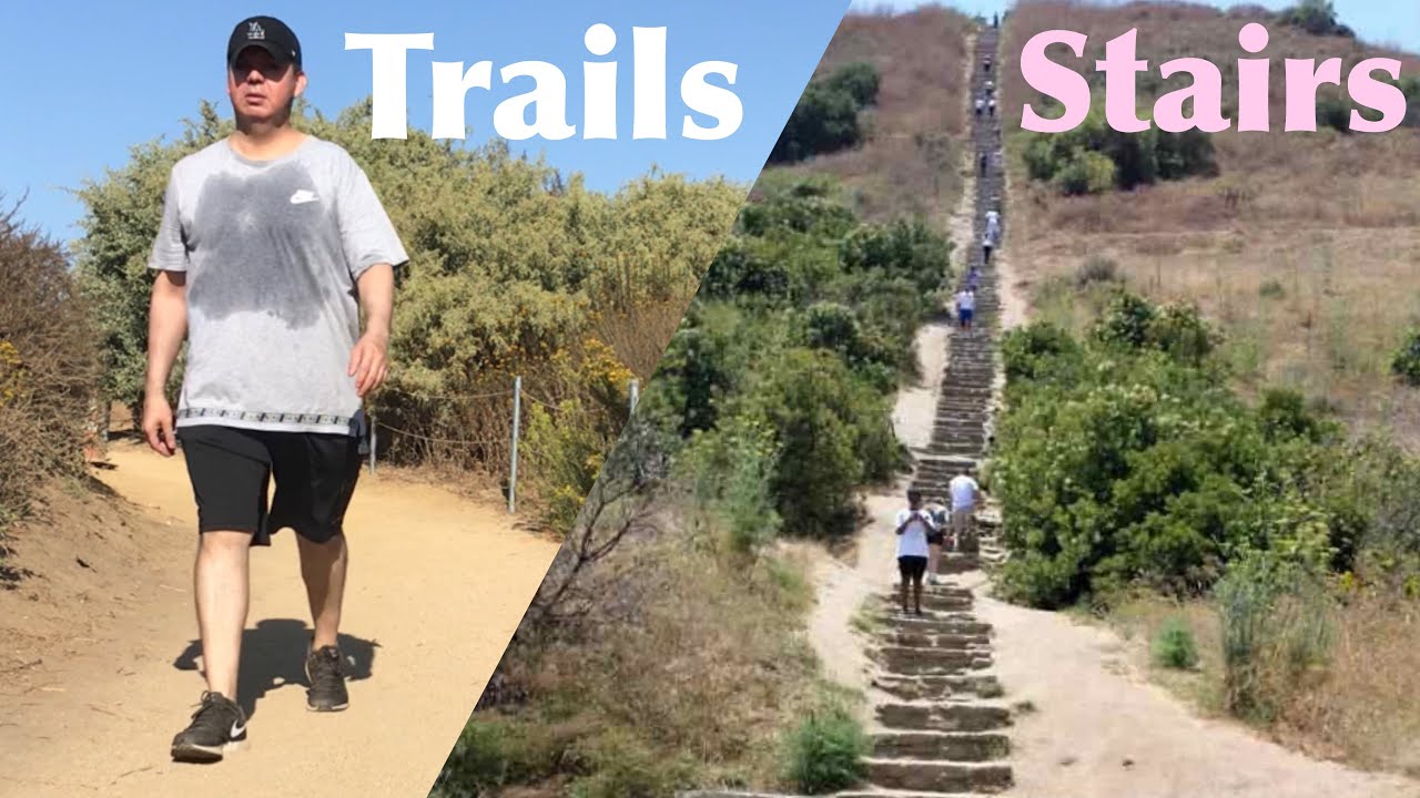 Trails & Stairs Baldwin Hills Scenic Overlook