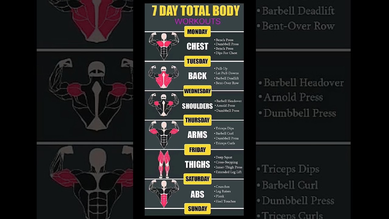 #7 Days Workout Plan For Beginner | Workout Split | #workout #gym #shorts