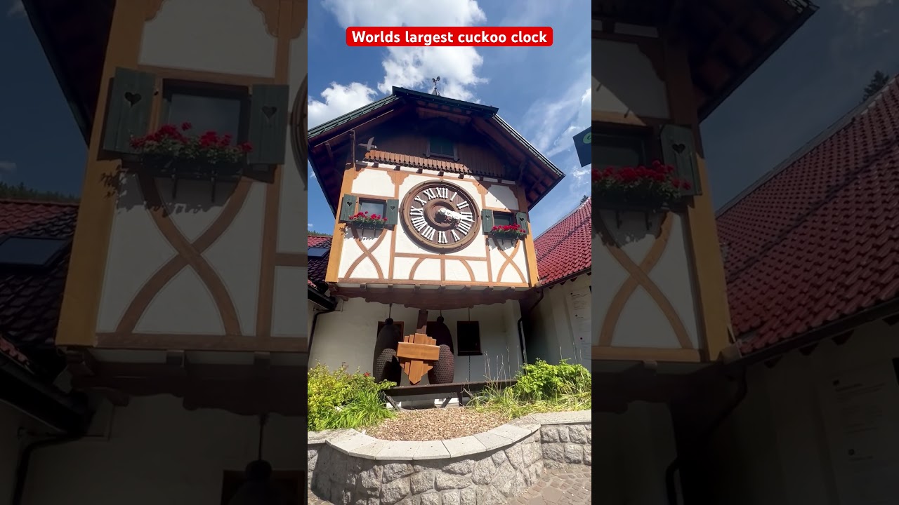 Worlds largest cuckoo clock in germany🇩🇪 