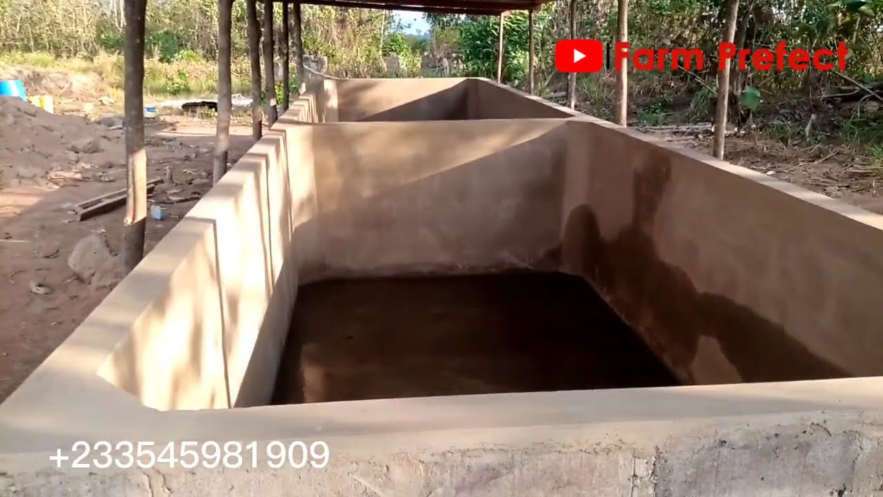Building 3000 Capacity Concrete Catfish Pond.