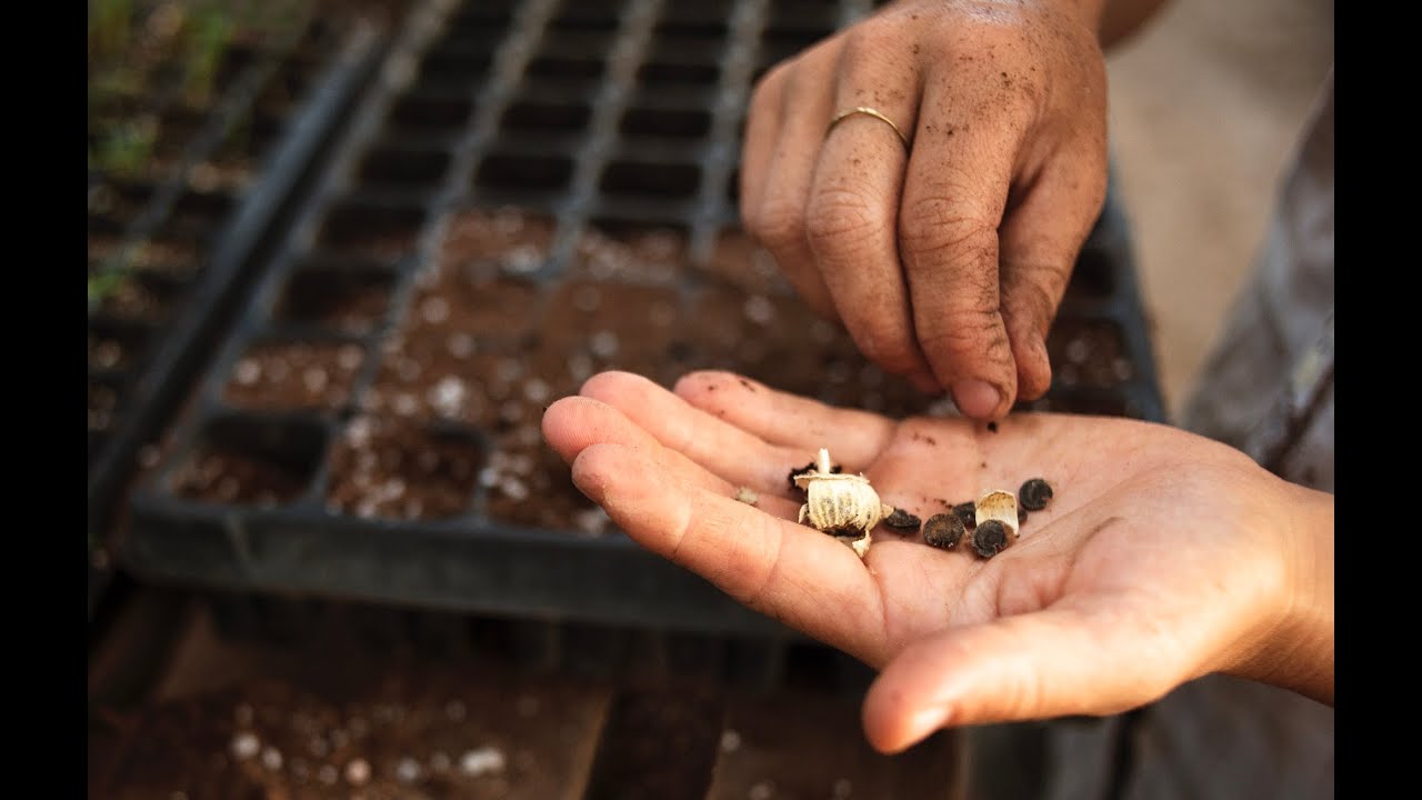 Age of Change: How entrepreneurs in Mexico are supporting communities