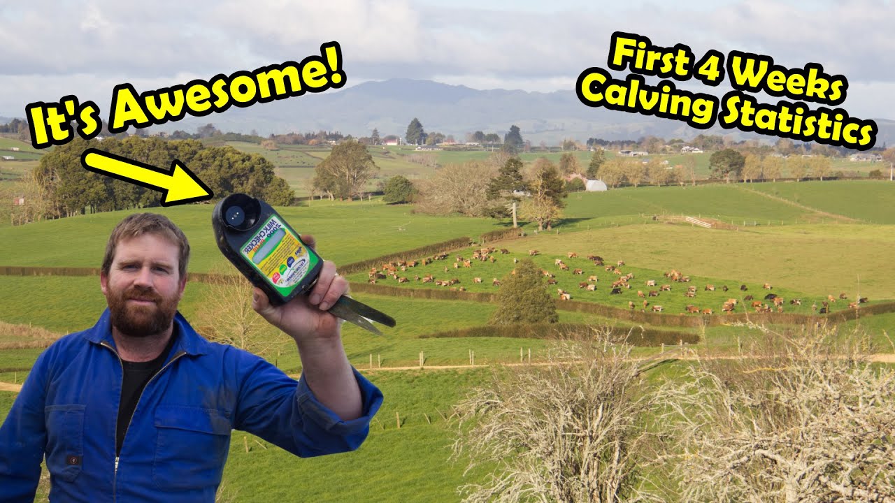 Digital Mastitis Detector & 4 Week Calving Update