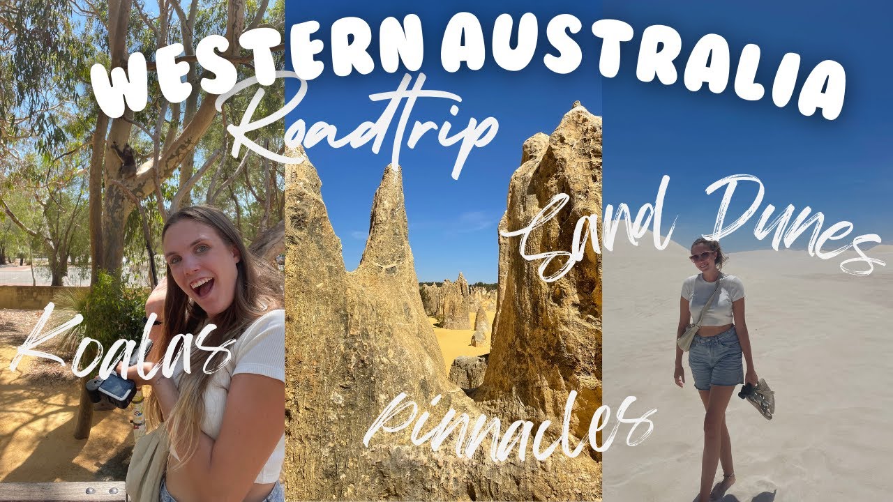 Day trip from PERTH 🇦🇺 Yanchep National Park, Lancelin Sand Dunes, and the Pinnacles!