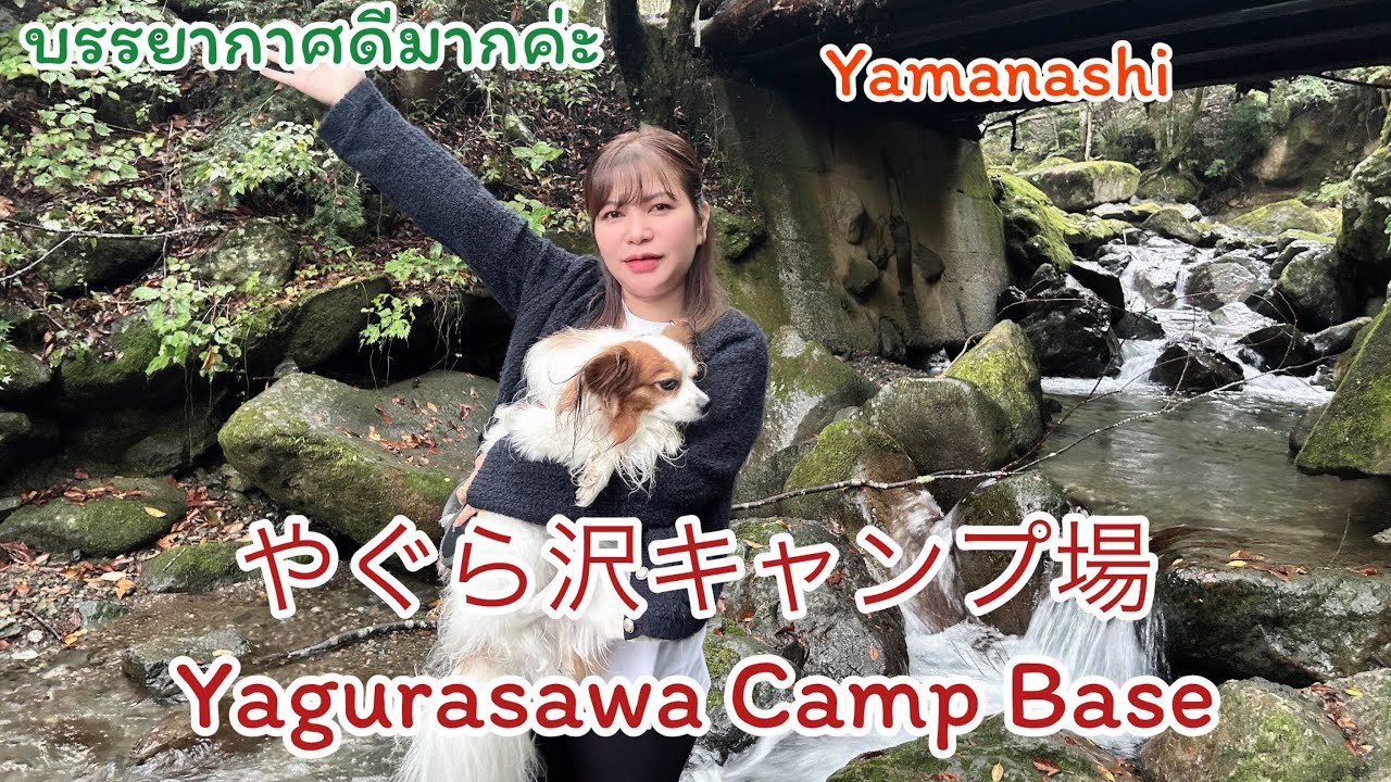 秋キャンプは道志から やぐら沢キャンプ場で海鮮チゲに棒ラーメン แนะนำสถานที่แคมป์ปิ้ง 🏕️🇯🇵บรรยากาศดีมากๆเลยค่ะธรรมชาติฮิลใจ🍀🍂🍁
