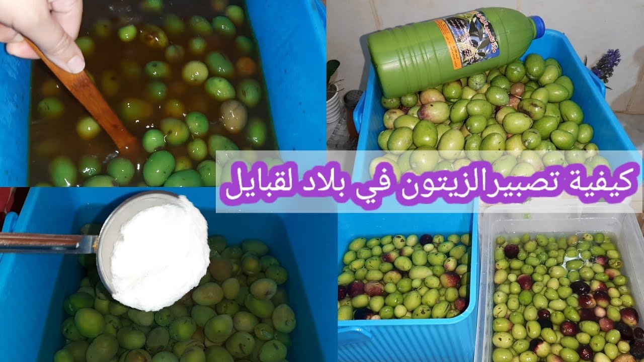 وصفة تصبير الزيتون الأخضر مثل المصانع 👏الوصفة المعتمدة عليها في عائلتي أبا عن جد😉