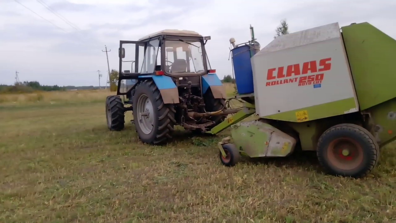 Застраховались с кормами - 2