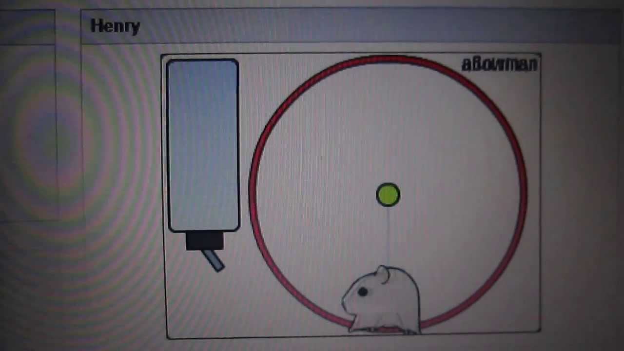 igoogle shutdown, Henry's last minutes (igoogle hamster)