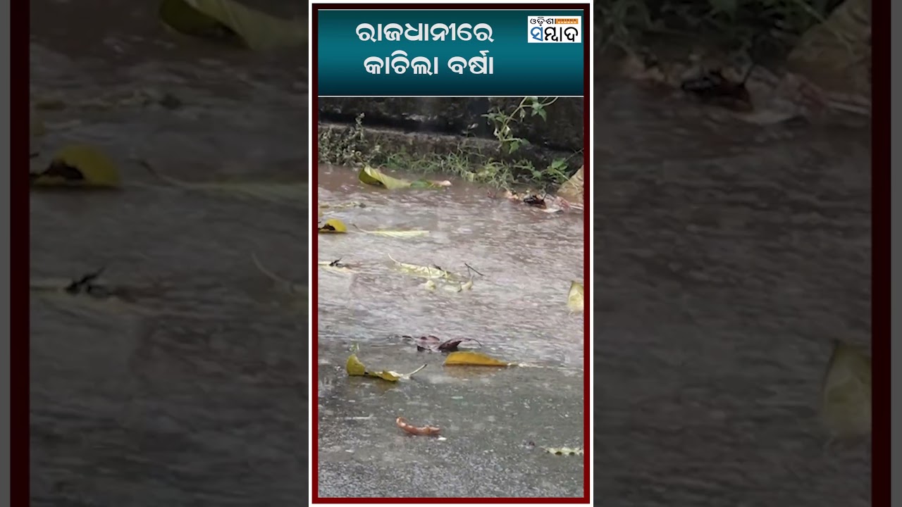 ରାଜଧାନୀରେ କାଚିଲା ବର୍ଷା #rain #weather