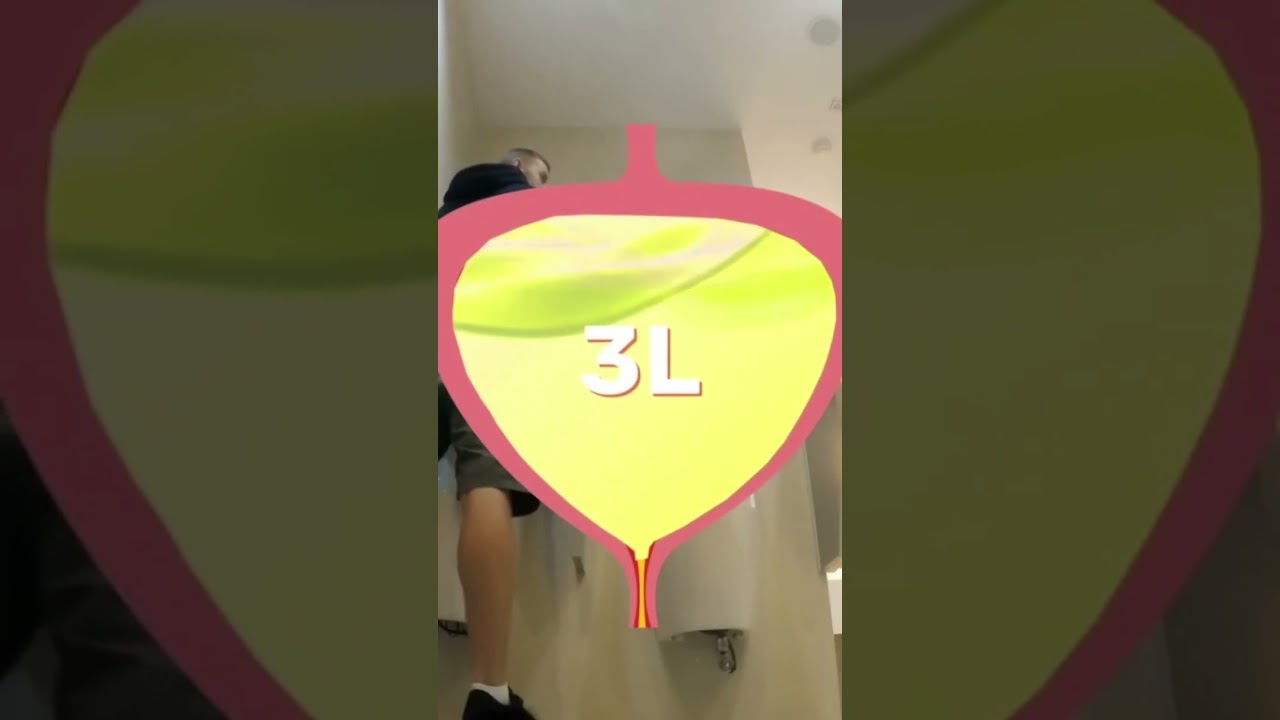 As&iacute; Se Ven 11 Litros De Orina En La Vejiga 😳 #curiosidades