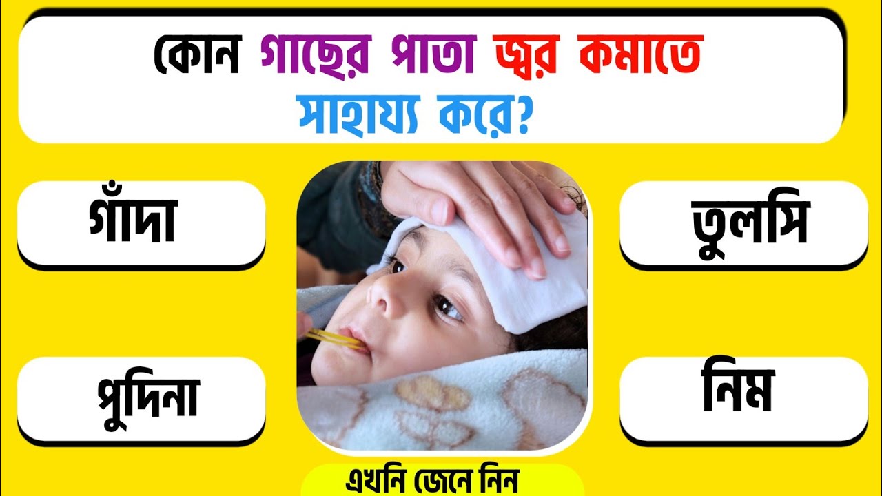 এখনই জেনে নিন — কোন গাছের পাতায় আছে অসুখ সারানোর আশ্চর্য ক্ষমতা!
