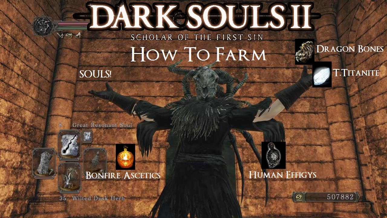 Dark Souls 2 SOTFS Farming: Ascetics, Effigys, Wilted Dusk Herbs, Dragon Bones, T. Titanites, Souls