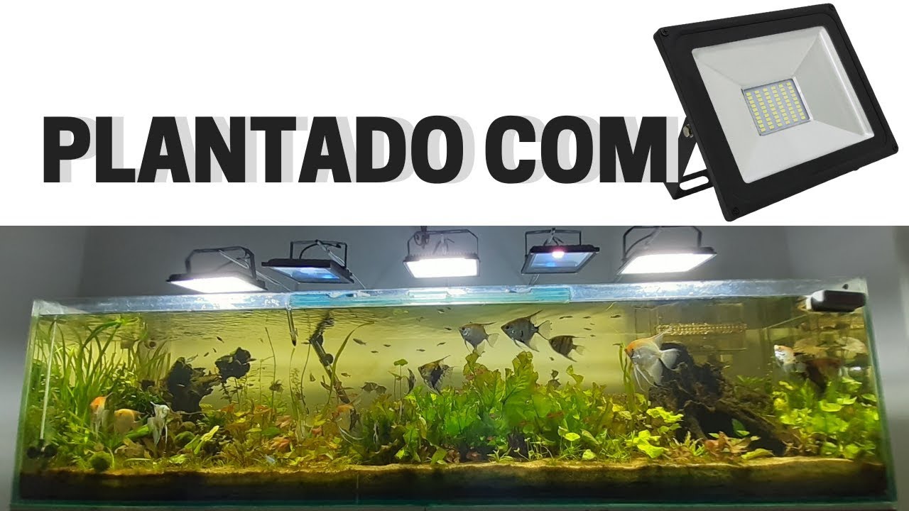 AQUÁRIO PLANTADO de 2 metros COM REFLETOR DE LED! FAÇA VC MESMO