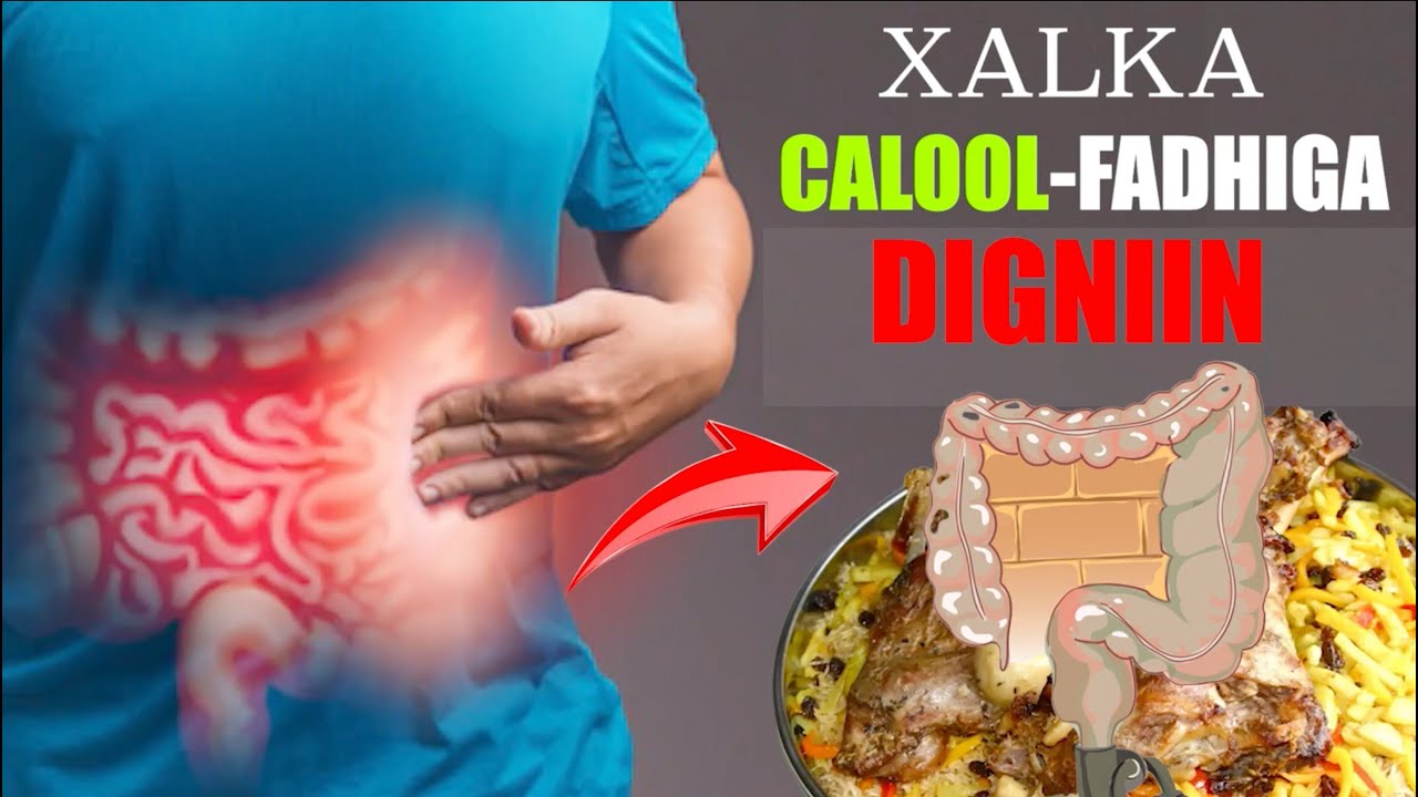 𝐃𝐈𝐁𝐈𝐑𝐘𝐀𝐃𝐀 IYO CALOOL XIRINKA (calool fadhiga )