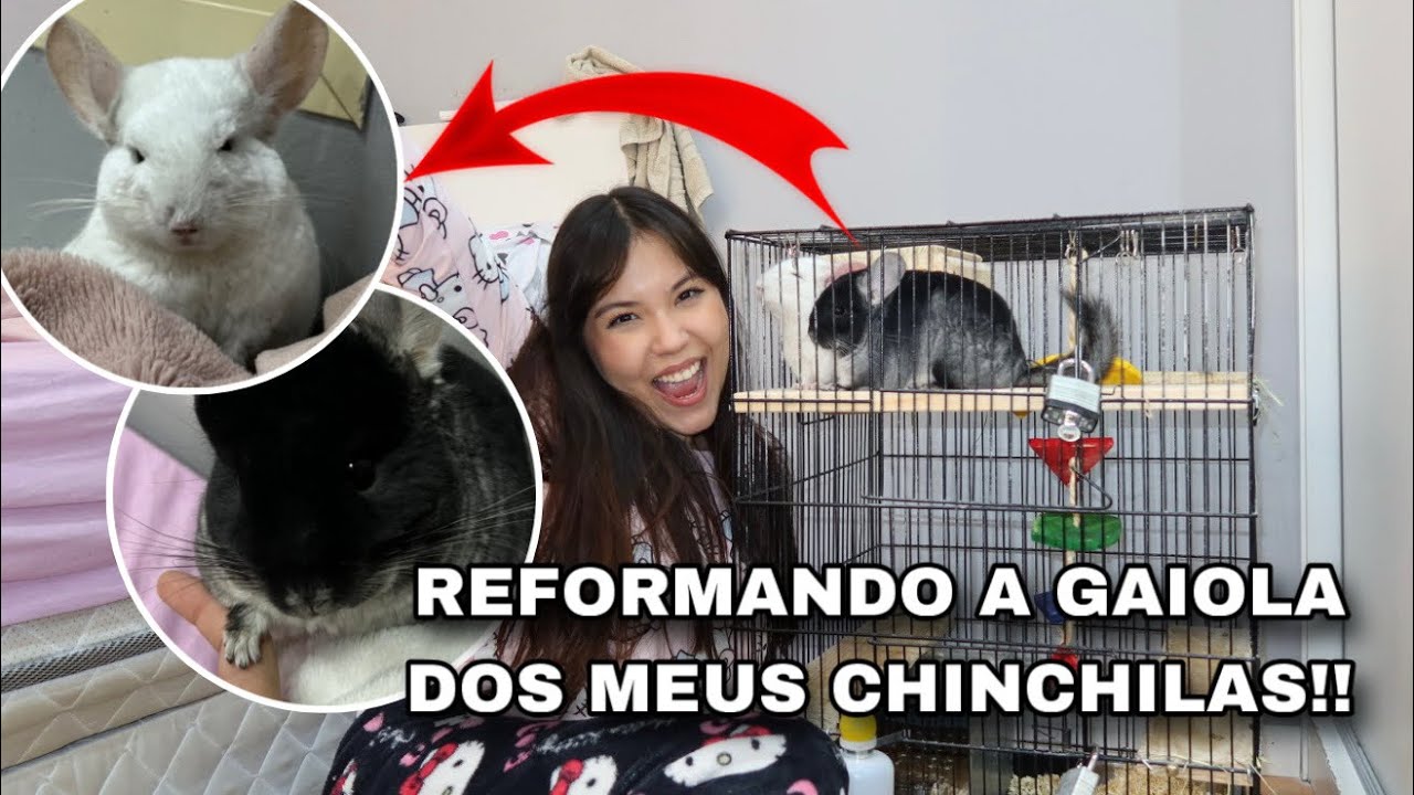 REFORMANDO A GAIOLA DOS MEUS CHINCHILAS!! *esse vídeo foi um caos KKKK*