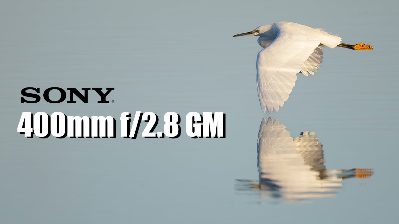 Тестирование объектива Sony 400mm f/2.8 GM и телеконвертеров