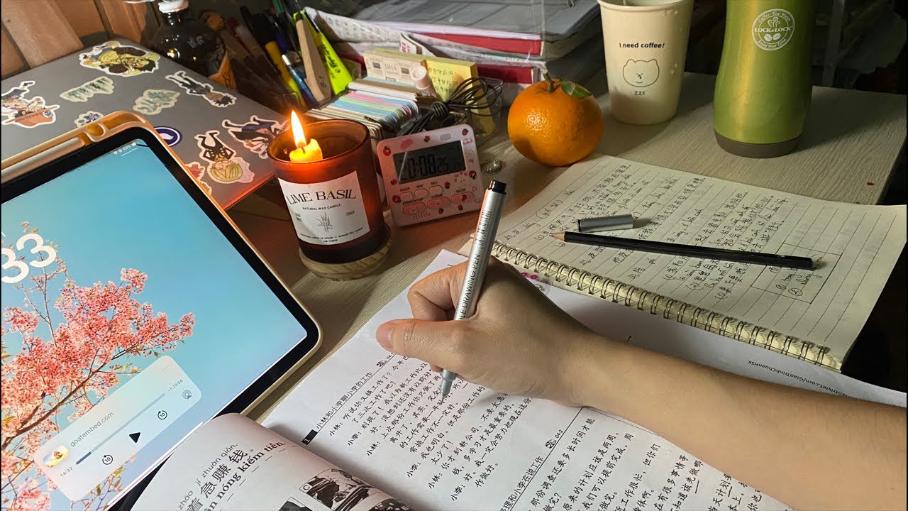 Day 17/90 l ÔN THI HSK4 l Night Study With Me Live l Pomodoro 50/10 l Deep Focus