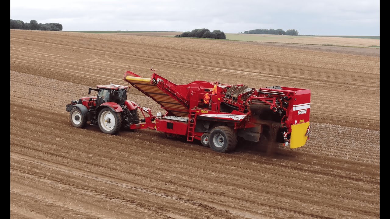 Grimme Evo 280 en action | Récolte haute performance 🥔 |