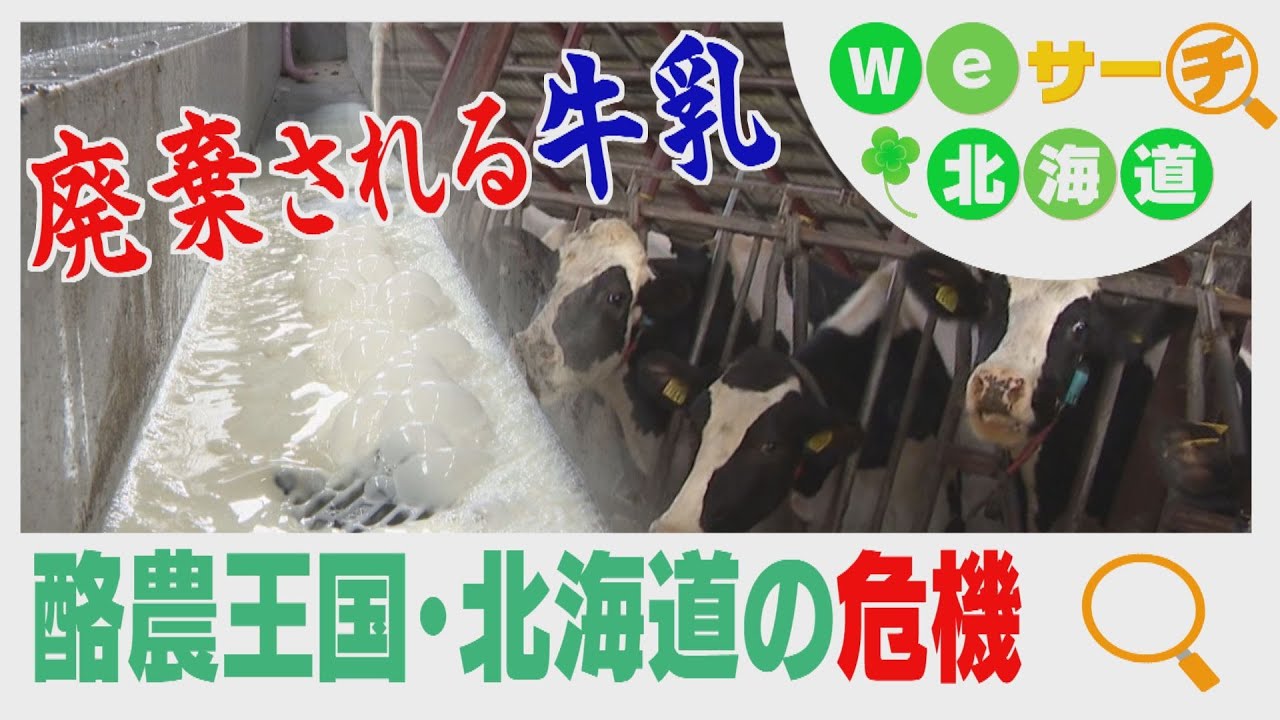 【苦渋の選択】廃棄される牛乳　酪農王国・北海道の危機　Ｗｅサーチ北海道#24