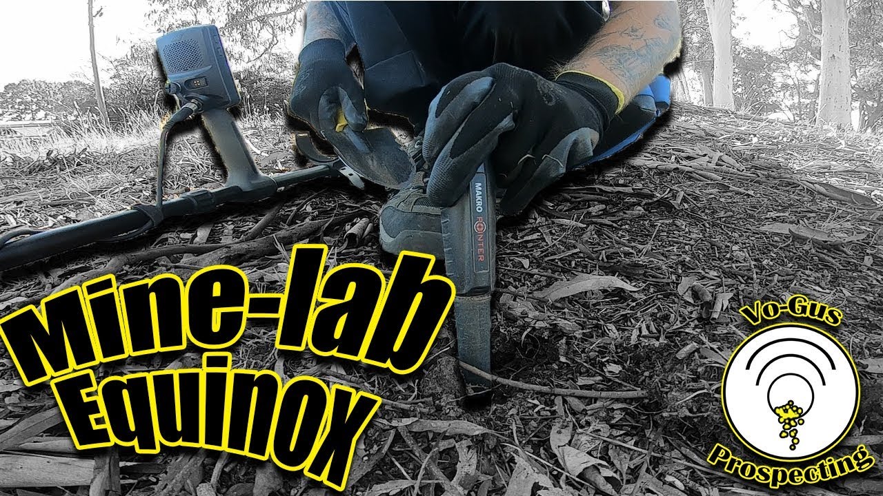 Minelab Equinox Detecting  - Swingers Club
