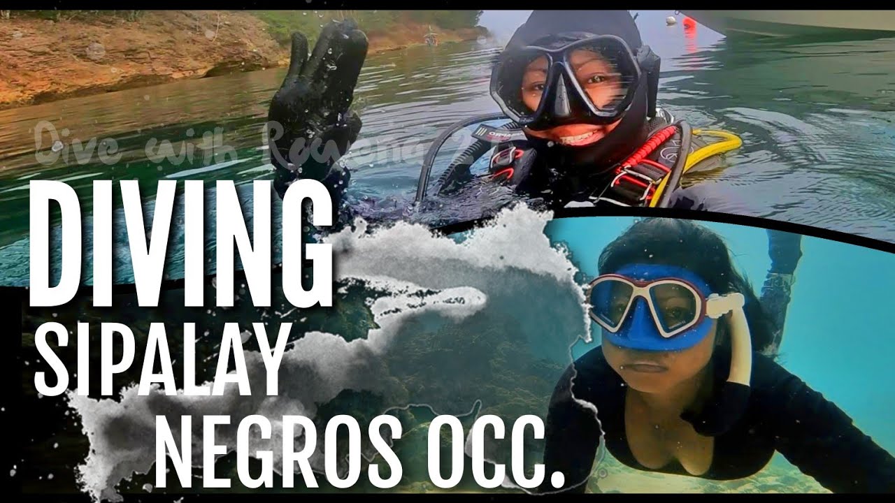 Pt.2 Diving Gorgeous Campomanes Bay|Fish Sanctuary,Turtle Island, Sipalay