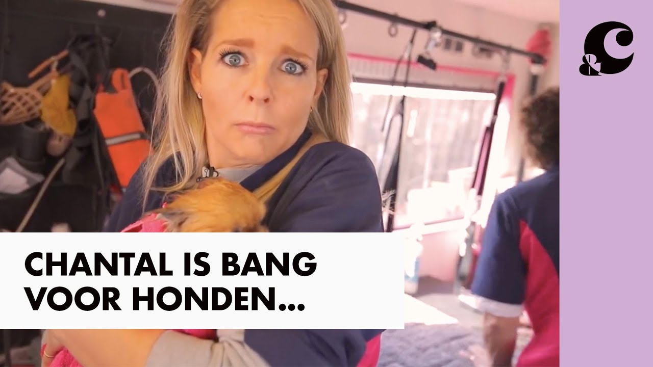 HOE DOET CHANTAL HET ALS EEN HONDENPSYCHOLOOG? - CHANTAL KOMT WERKEN - &C