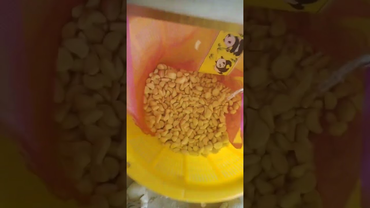 BL60 garlic color separator #garlic #sorter #factory