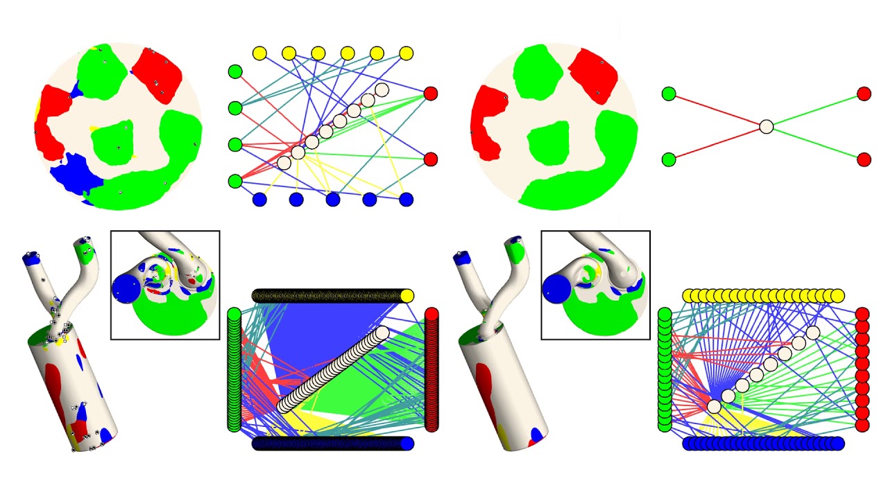 Multi-Scale Topological Analysis of Asymmetric Tensor Fields on Surfaces