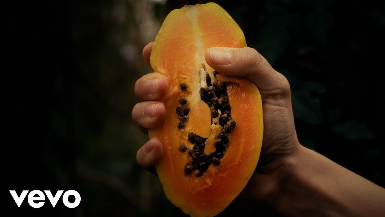 MATILDE - PAPAYA (Visual Video)