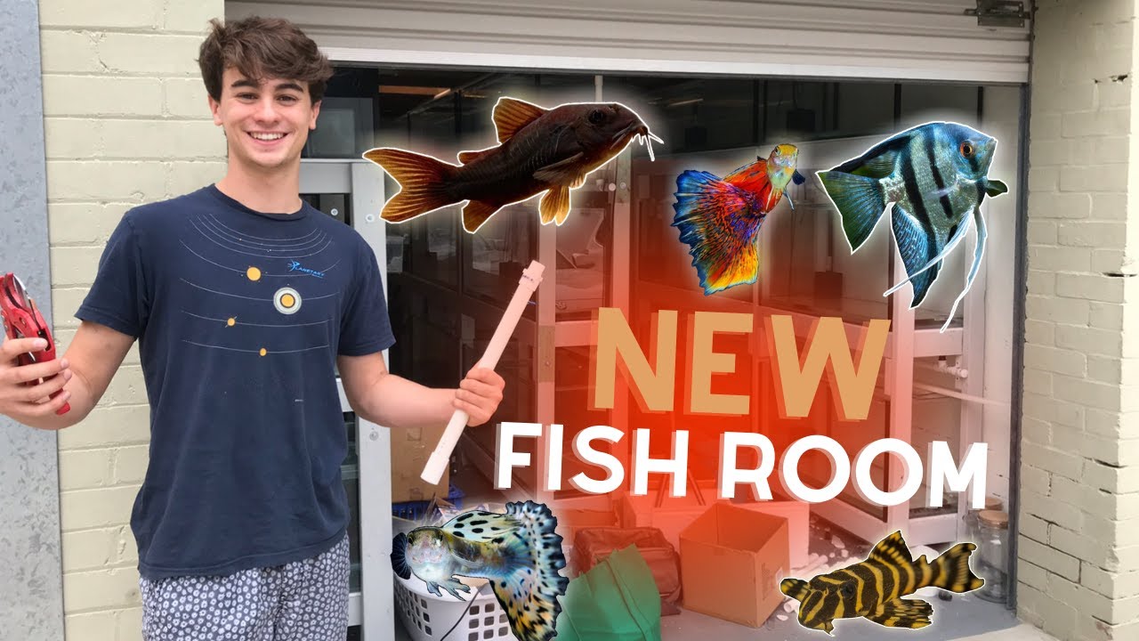 How to Build a Fish Room: Plumbing (Part 3)