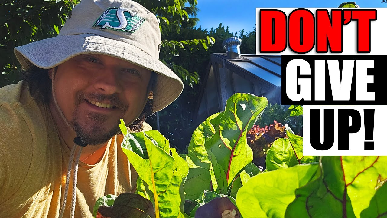 10 Gardening Mistakes To Avoid In 2023