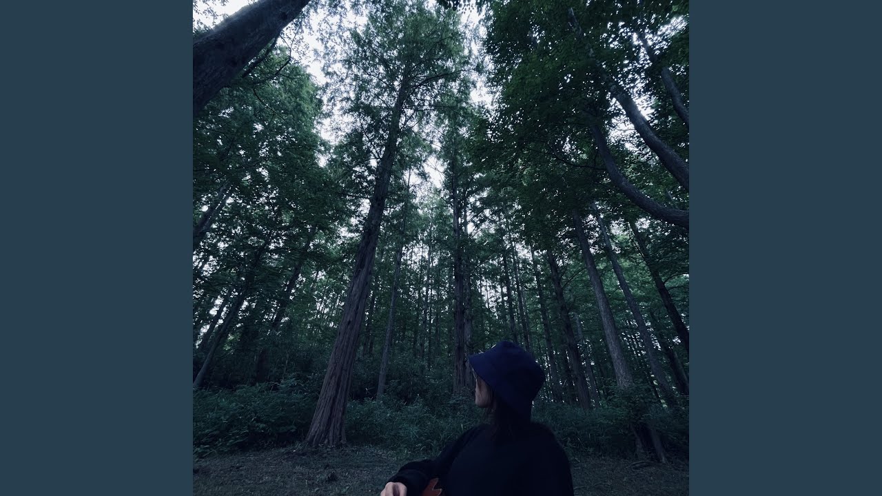雨土
