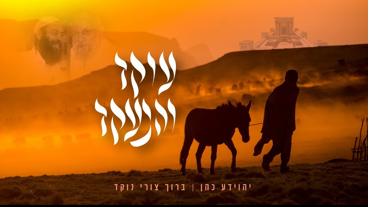 עוקד והנעקד | יהוידע כהן וברוך צורי נוקד מארחים את סיני תור