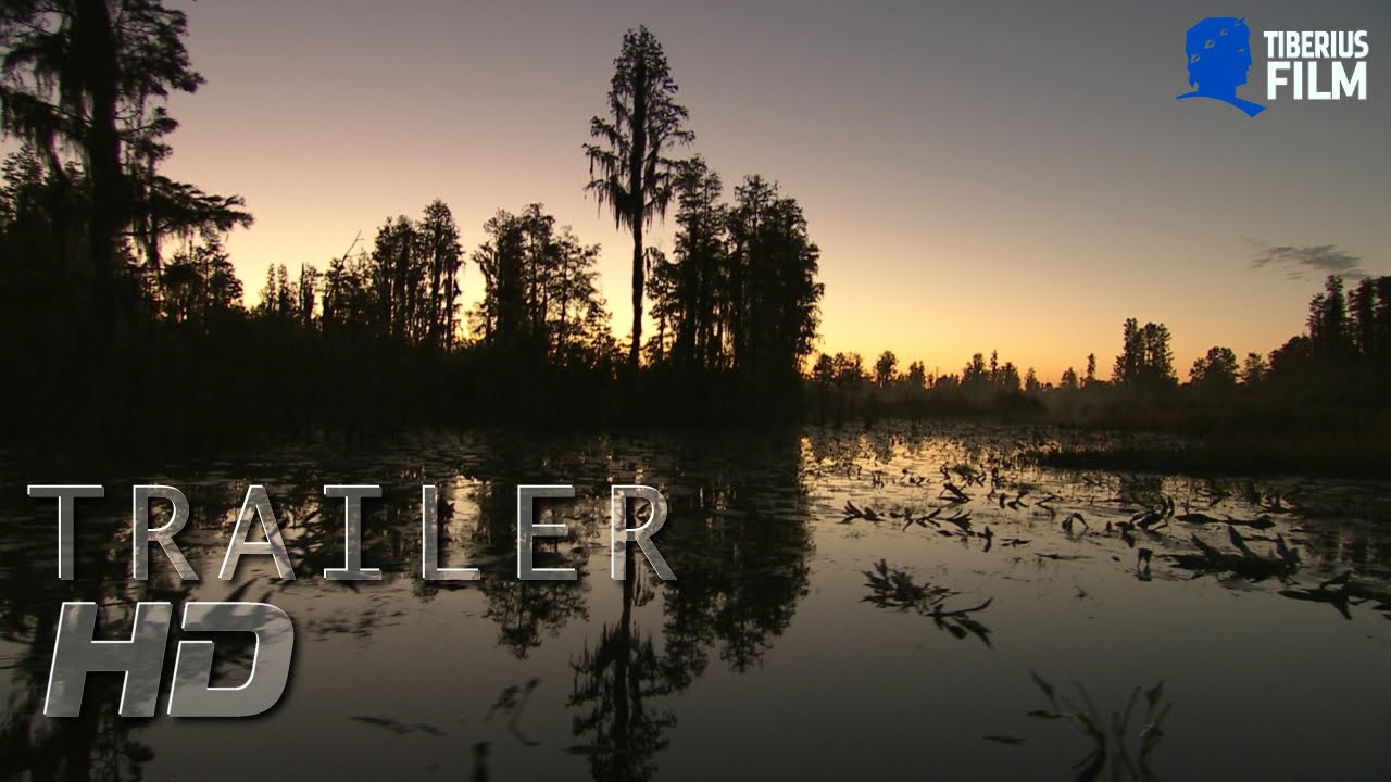 Wildes Sumpfland (HD Trailer Deutsch)